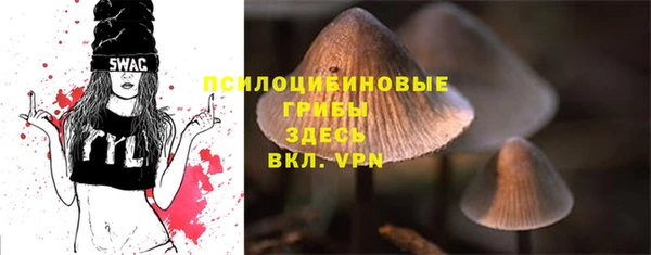 хмурый Зеленодольск