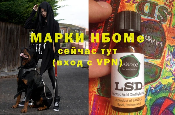 эйфоретик Зерноград