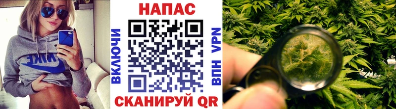 Купить  Новодвинск  Конопля Bruce Banner 